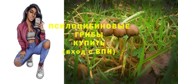 стафф Богородицк