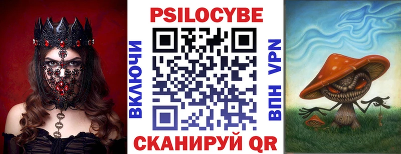 Псилоцибиновые грибы Psilocybe  купить   Краснозаводск 